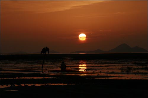 고인은 한줌의 재가 되어 평생 드나들 던 살금갯벌에 뿌려졌다. 